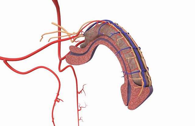 干細胞治療男性勃起功能障礙，恢復男性自信！