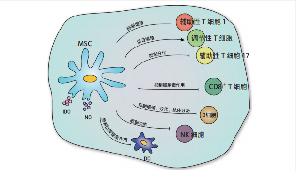 干細胞治療